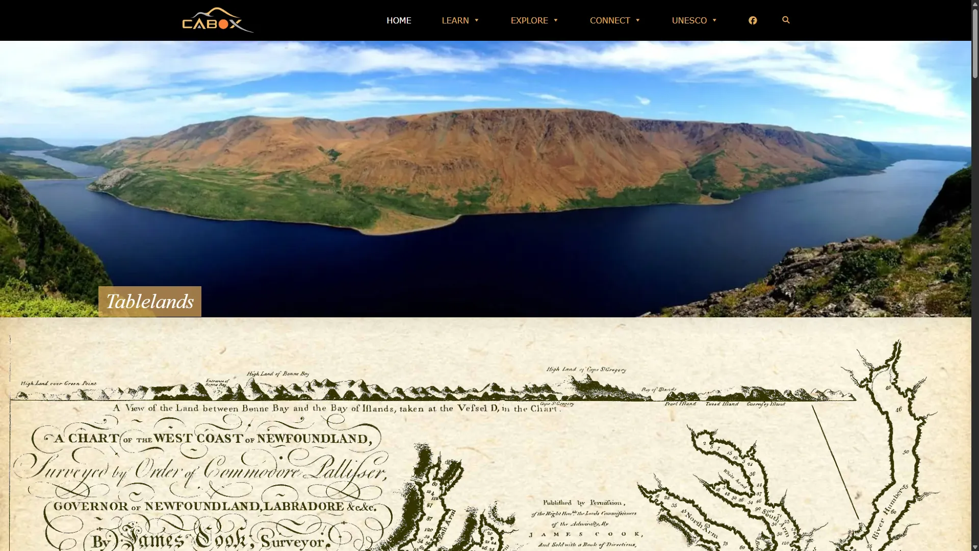 Cabox Animated Rock video 0307